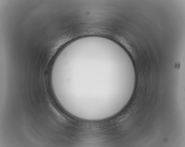 X0000091060683200708061000