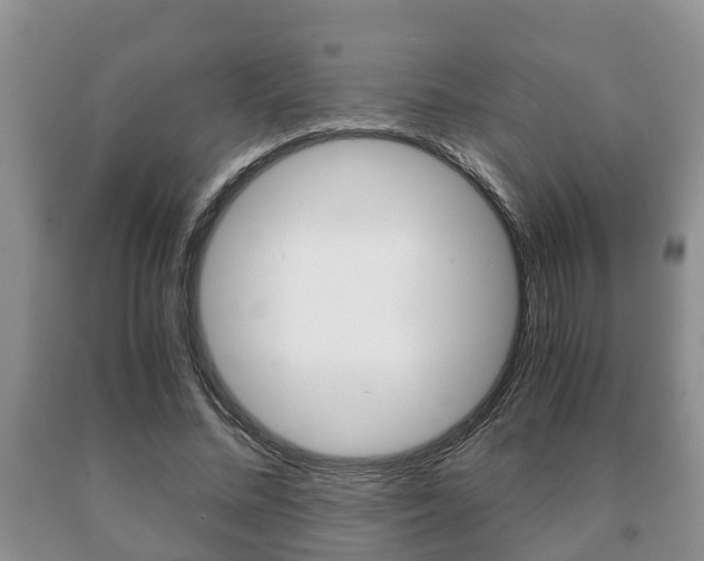 X0000091060684200708061000