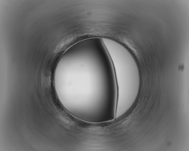 X0000091060685200708061000