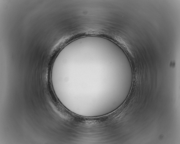 X0000091060686200708061000