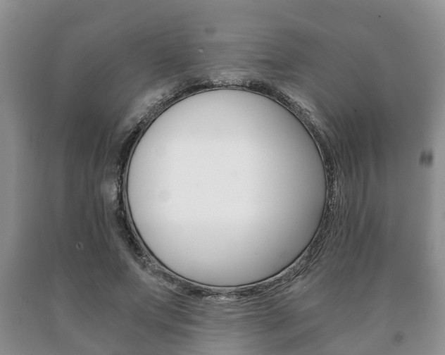 X0000091060687200708061000