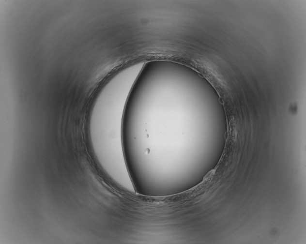 X0000091060692200708061000