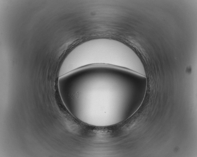 X0000091060693200708061000