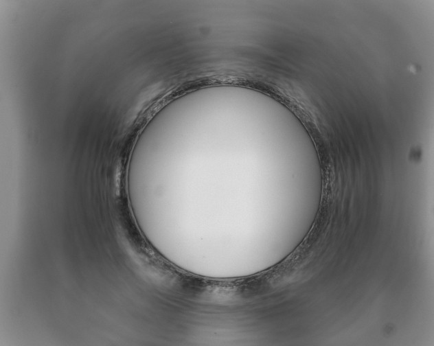X0000091060694200708061000