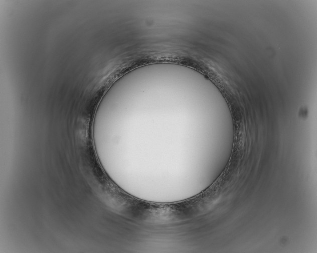 X0000091060695200708061000