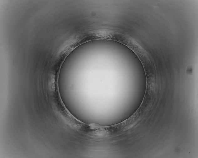 X0000091060696200708061000