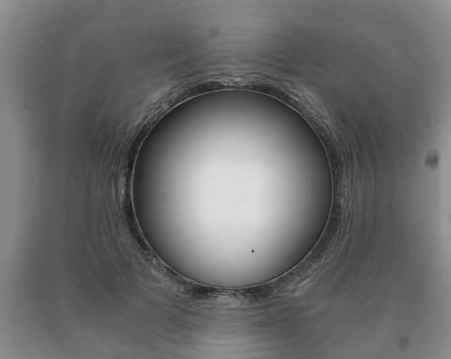 X0000091060697200708061000