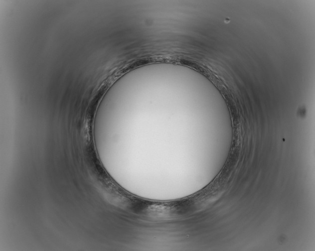 X0000091060699200708061000