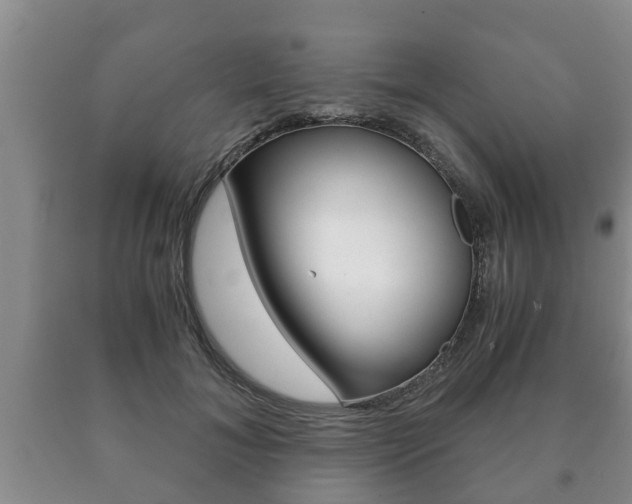 X0000091060700200708061000