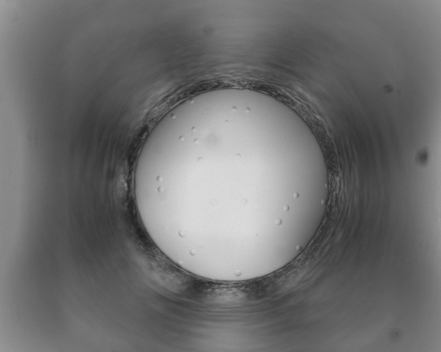 X0000091060702200708061000