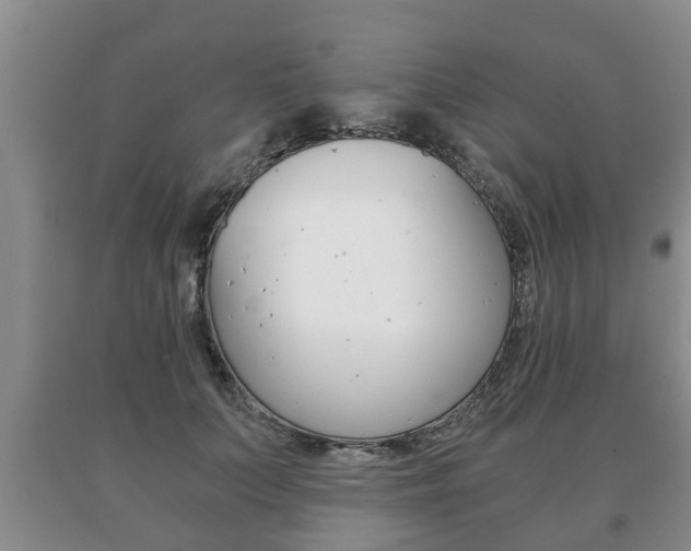 X0000091060703200708061000