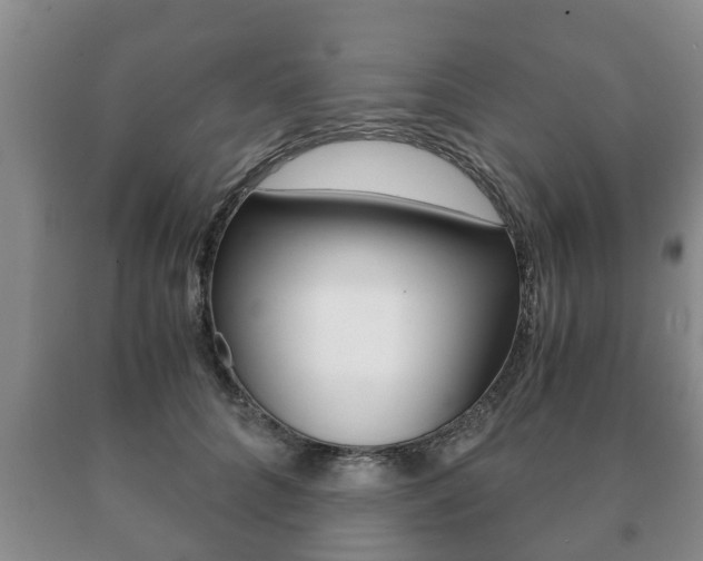 X0000091060704200708061000