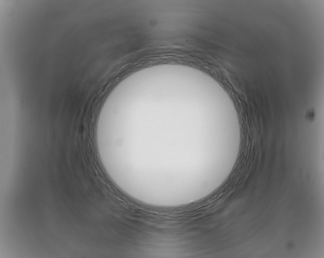 X0000091060705200708061000