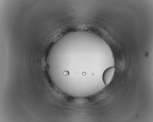 X0000091060707200708061000