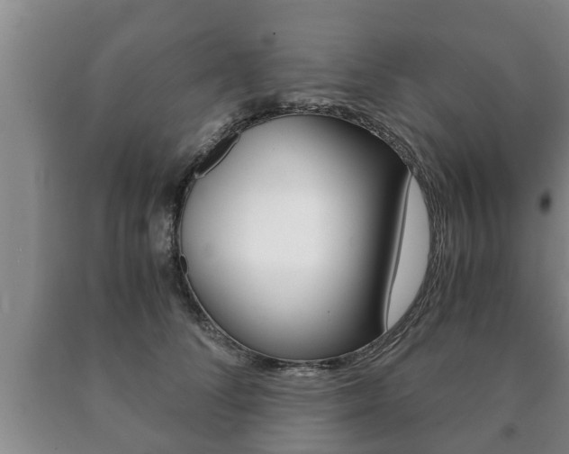 X0000091060708200708061000