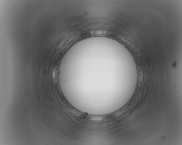 X0000091060709200708061000