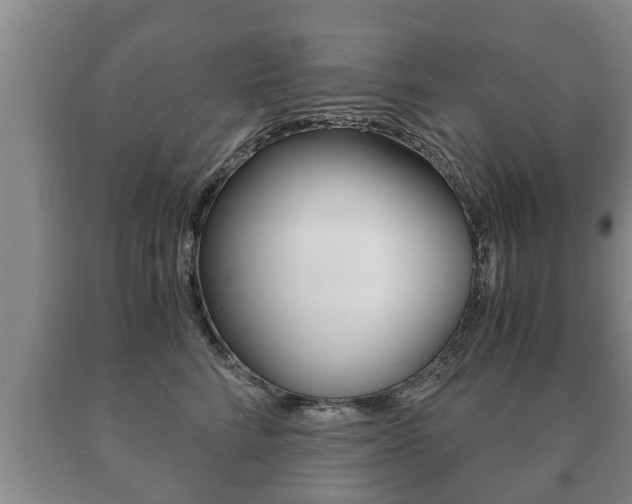 X0000091060712200708061000