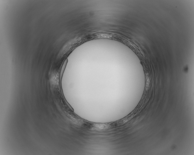X0000091060713200708061000