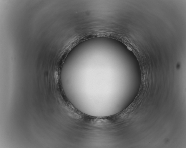 X0000091060716200708061000