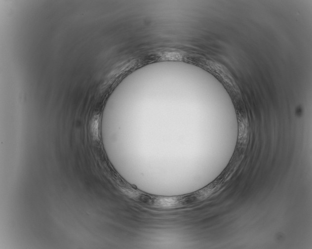 X0000091060717200708061000