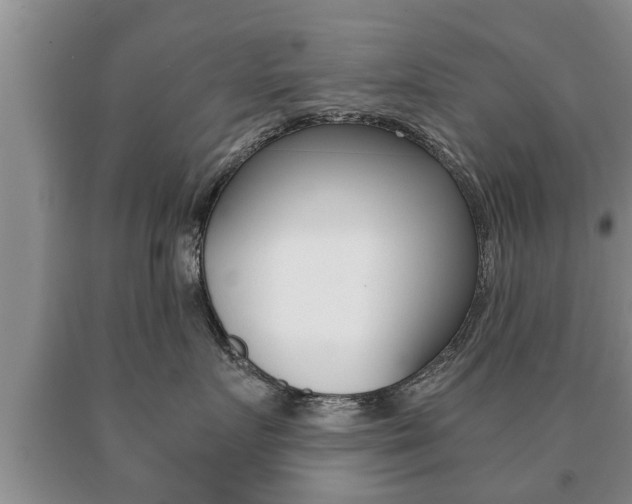 X0000091060719200708061000