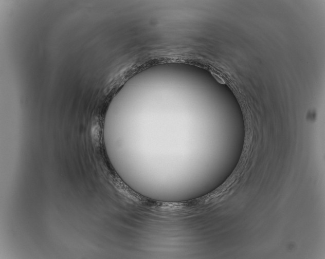 X0000091060720200708061000