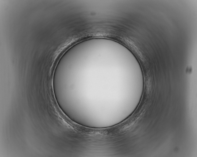 X0000091060721200708060959