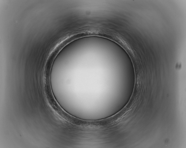 X0000091060722200708060959