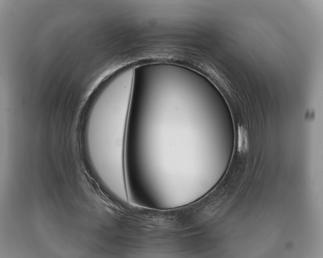 X0000091060723200708060959