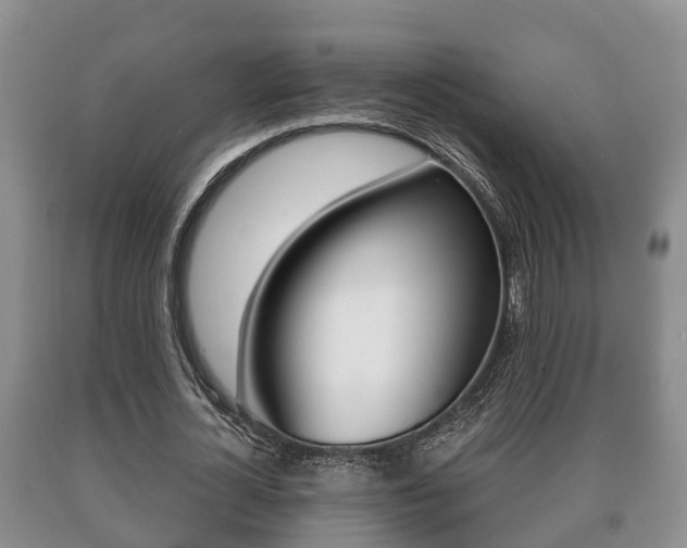X0000091060724200708060959