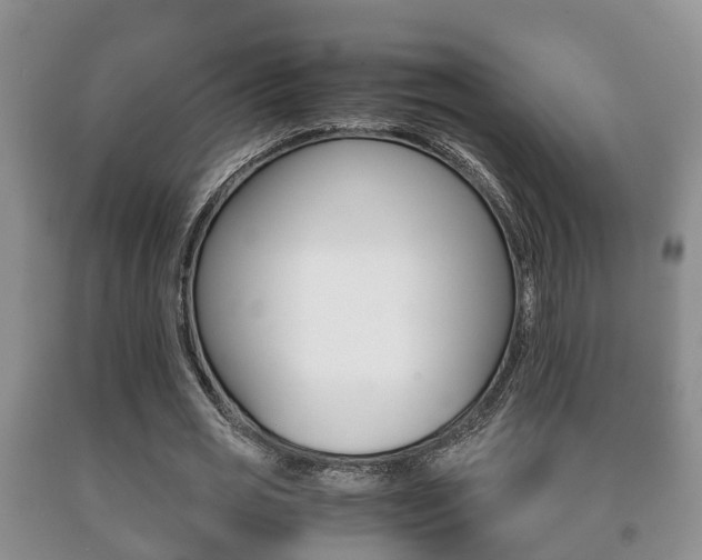 X0000091060725200708060959