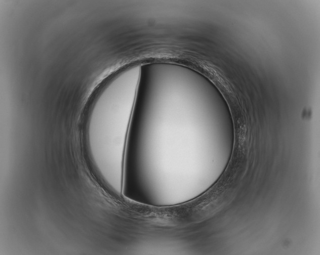X0000091060727200708060959
