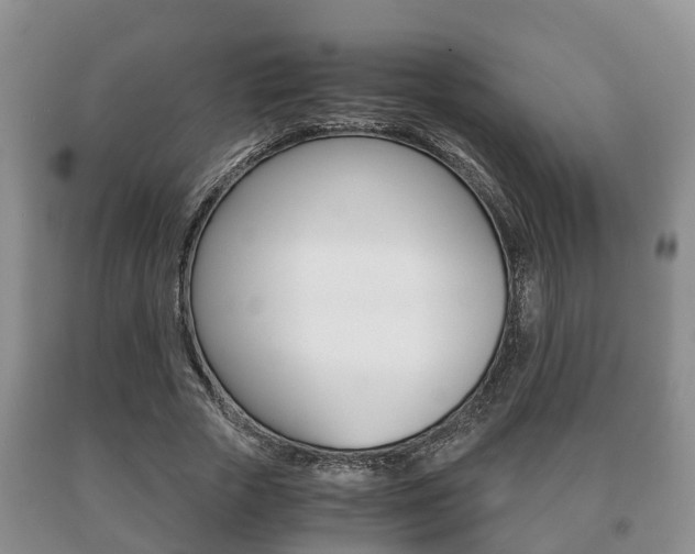 X0000091060729200708060959
