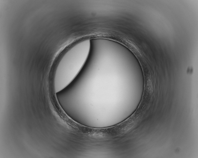 X0000091060730200708060959