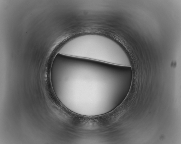 X0000091060731200708060959