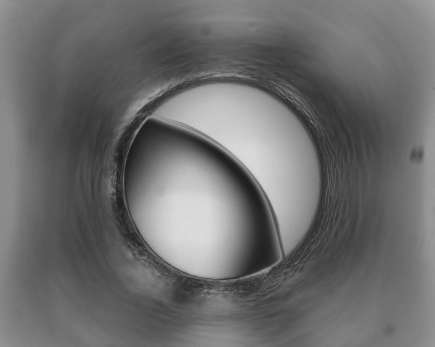 X0000091060732200708060959