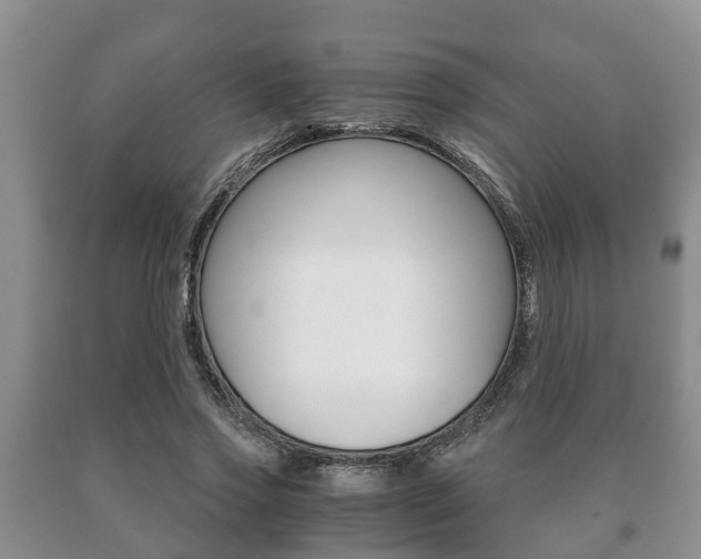 X0000091060733200708060959