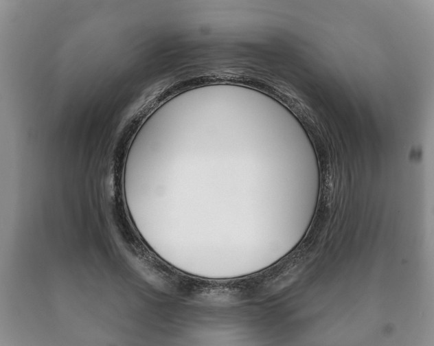 X0000091060734200708060959