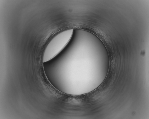 X0000091060739200708060959