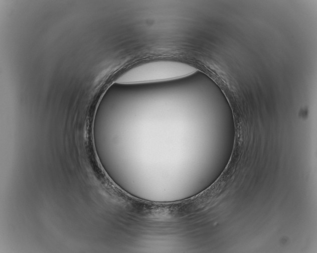 X0000091060740200708060959