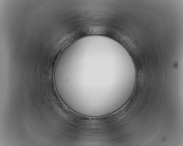 X0000091060741200708060959