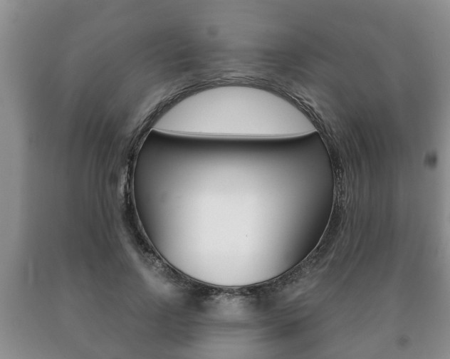 X0000091060742200708060959