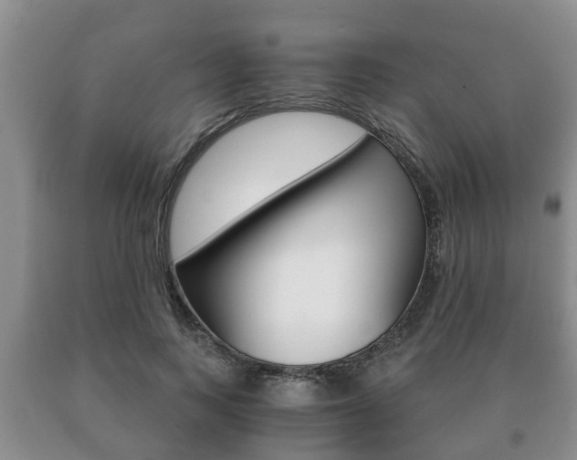 X0000091060743200708060959