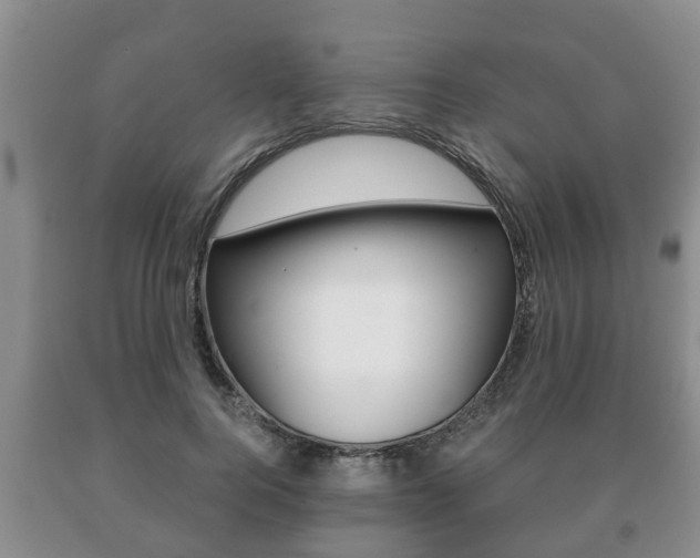 X0000091060744200708060959