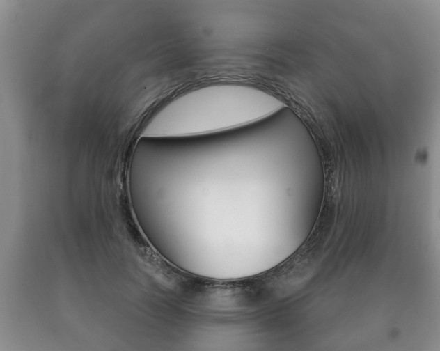 X0000091060746200708060959