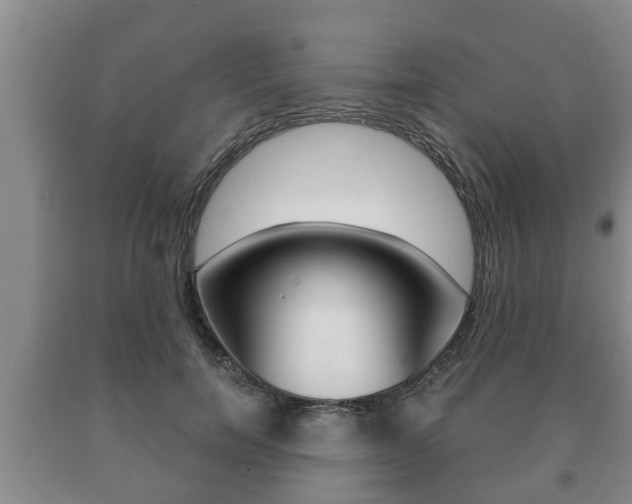 X0000091060750200708060959