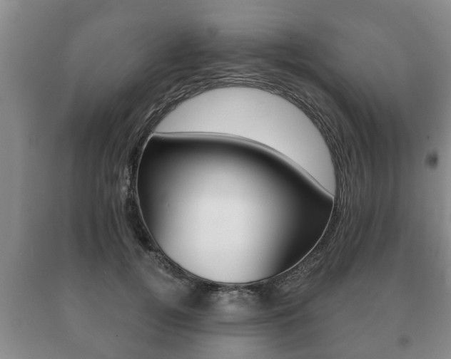 X0000091060752200708060959