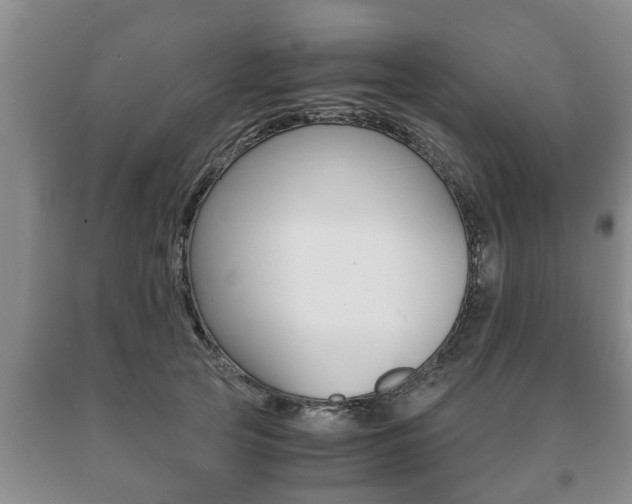 X0000091060753200708060959