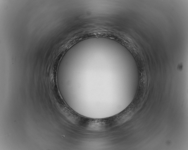 X0000091060754200708060959