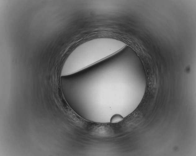 X0000091060755200708060959